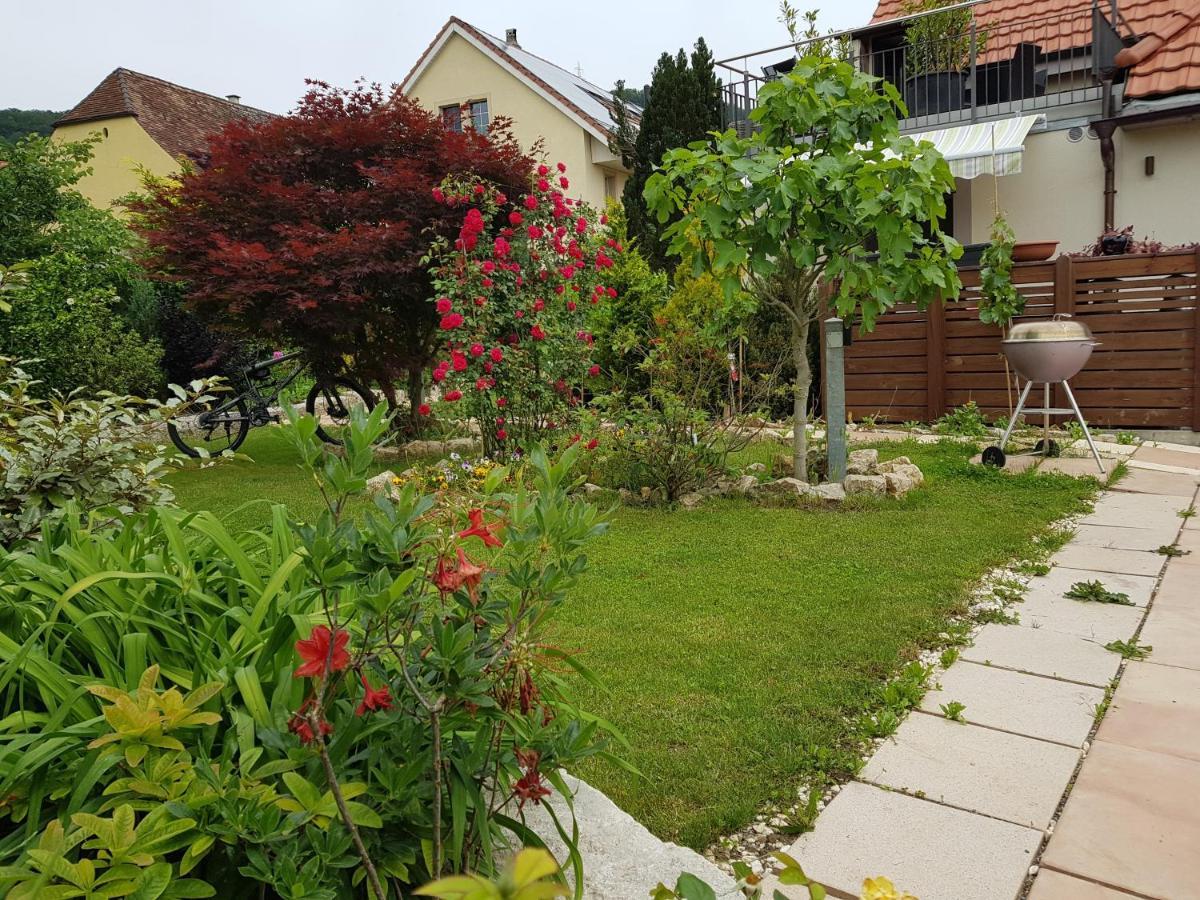 Bnb Comfort Guesthouse Olten - Lostorf Exterior photo