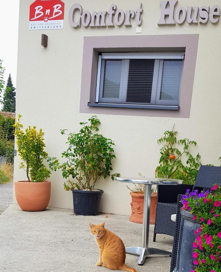 Bnb Comfort Guesthouse Olten - Lostorf Exterior photo